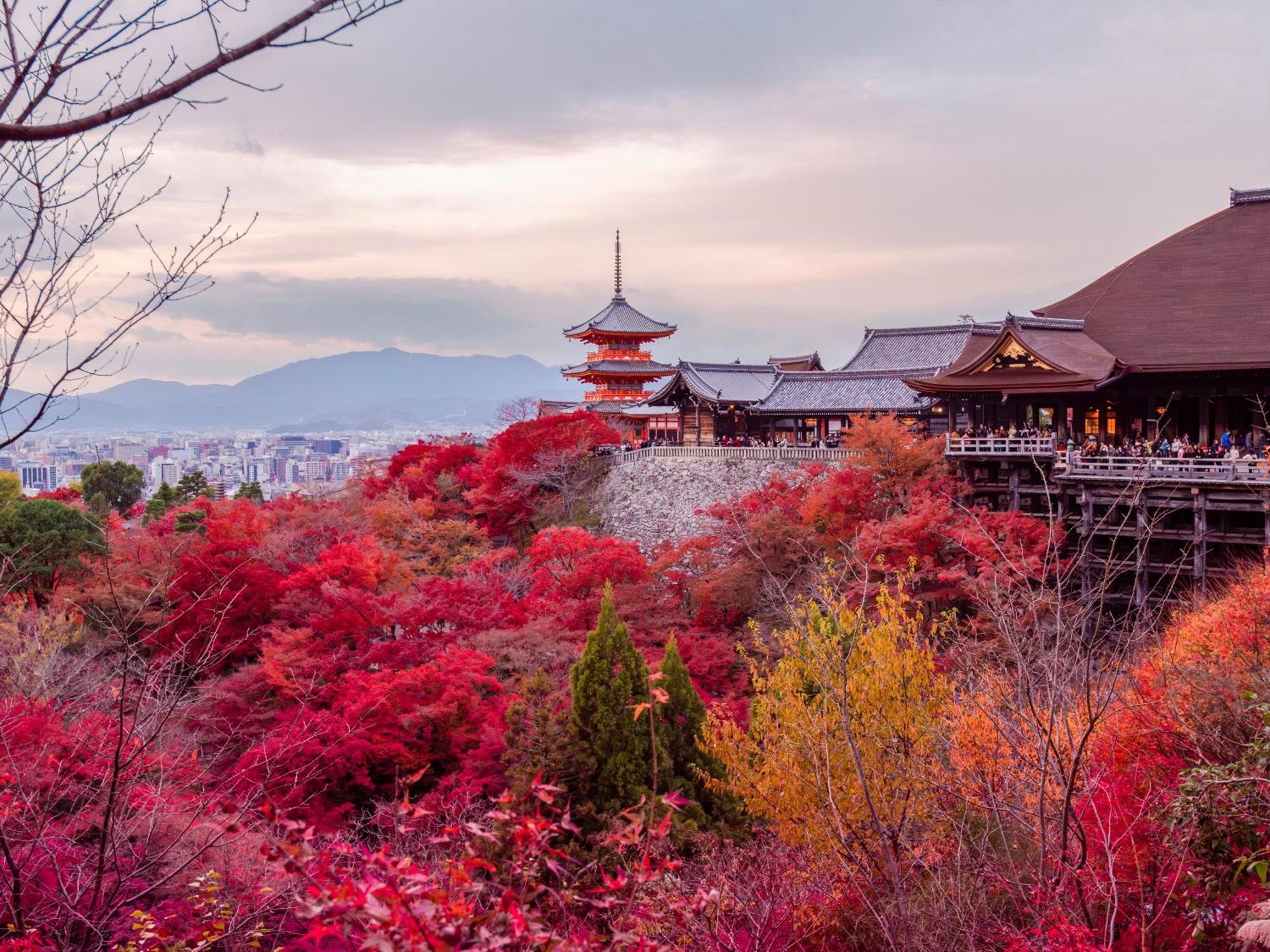 Stitch Hotel Kyoto Exteriör bild